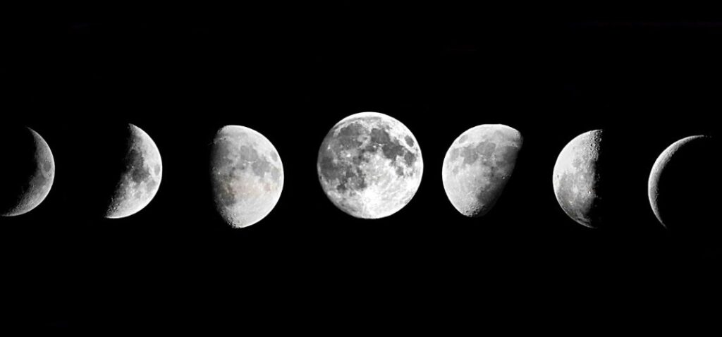 projektowanie ogrodu w zgodzie z naturą