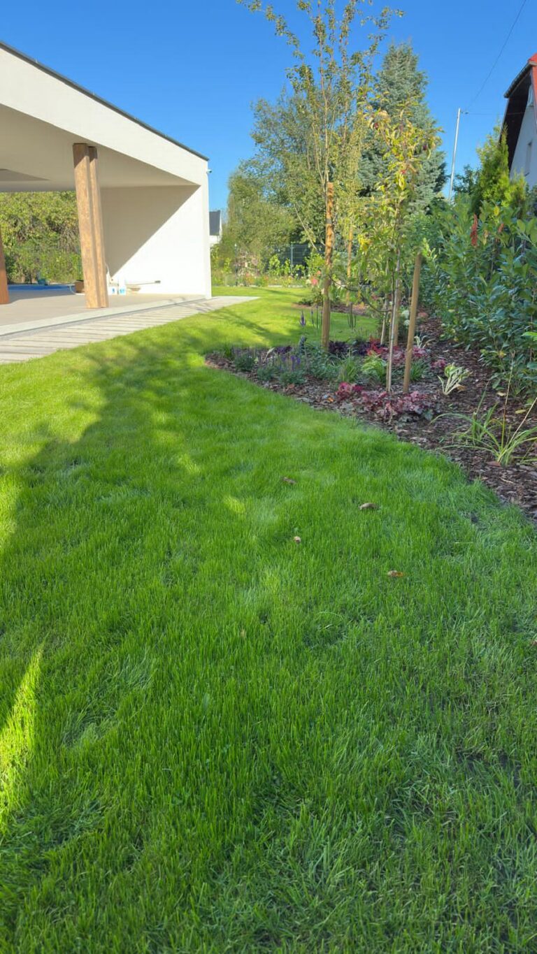 Trawnik wielogatunkowy z mikrokoniczyną